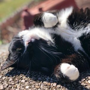 Meet your Posher, Hope